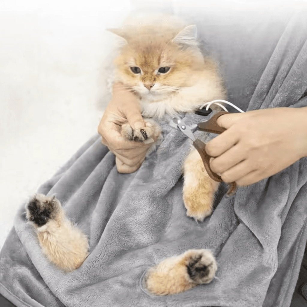 고양이 발톱깎기 앞치마 미용 보조용품 상세 이미지